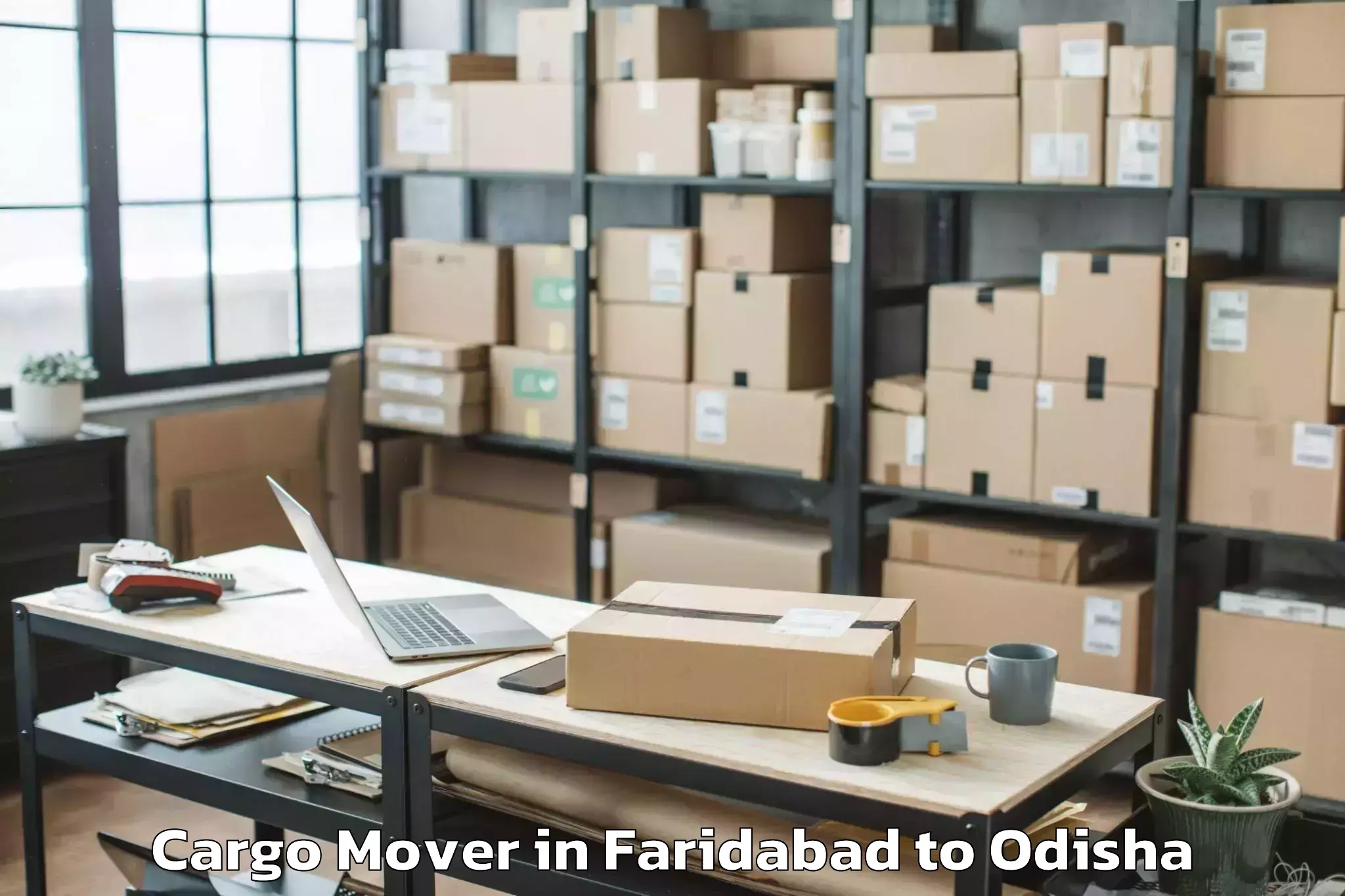 Book Faridabad to Karanjia Cargo Mover Online